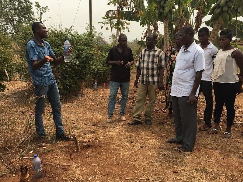 Record Successes with Conservation Agriculture SelfHelp International