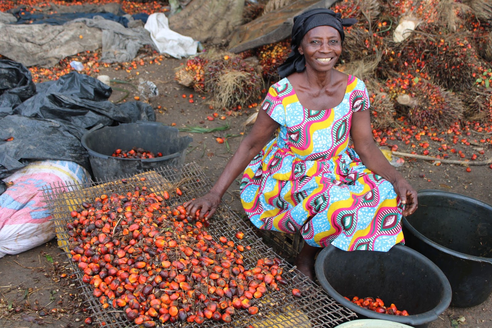 Juaben Palm Oil Processors Poised to Expand Their Trade