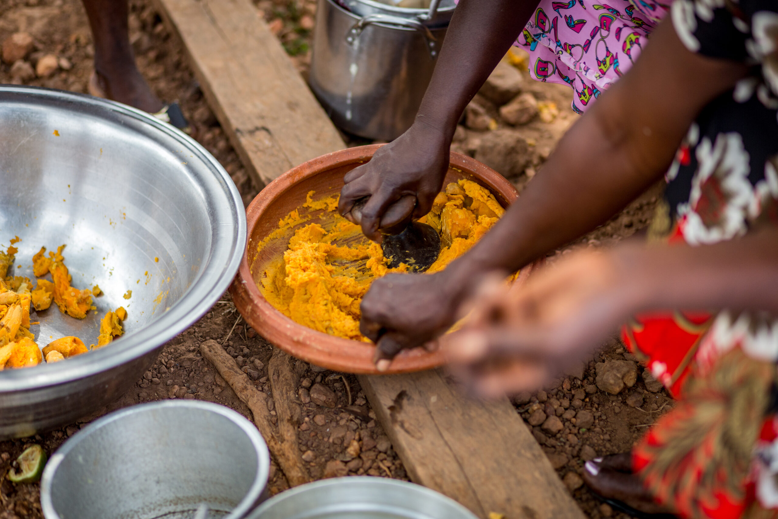 Orange Fleshed Sweet Potatoes: Implementing lessons learned from World Food Prize Laureates